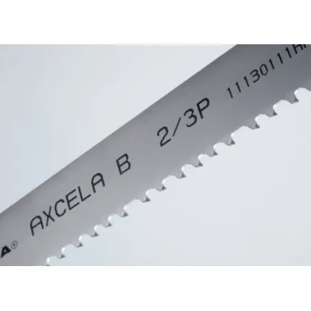 AXCELA B